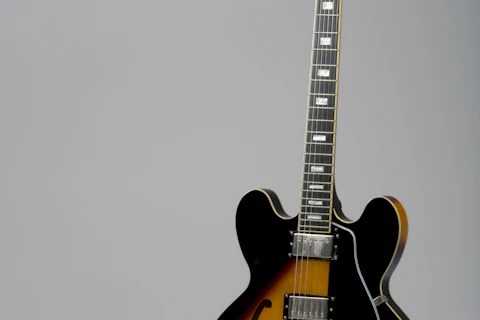 Fender Stratocaster electric guitar