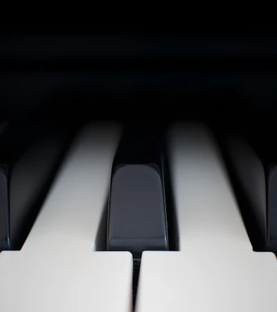 Close-up of piano keys